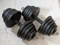 可変式ダンベル 10kg 2個セット (合計20kg)