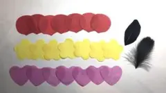 ENHYPEN　花びら　黒い羽　羽根　ハート 落下物