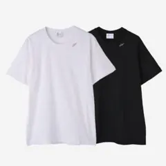 Item thumbnail for item 40aa26ce-5467-440e-a21b-5983016789da