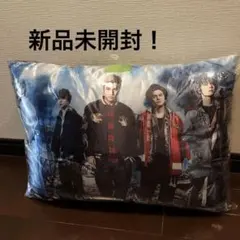 新品未開封　HiGH & LOW クッション　岩田剛典