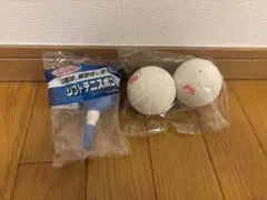 Item thumbnail for item f24b6be7-f53e-4de9-ad83-66275092cda0