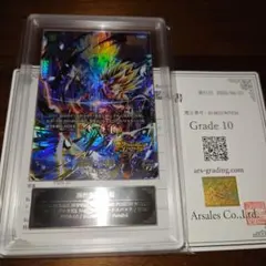 ARS10+】 クロスフォース FB10-123 セル パラレル 【鑑定書付】 - メルカリ