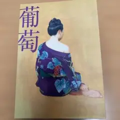 【完全生産限定盤Ｂ】サザンオールスターズ　ＣＤ➕ＢＯＯＫ➕ＤＶＤ　／ 『葡萄』