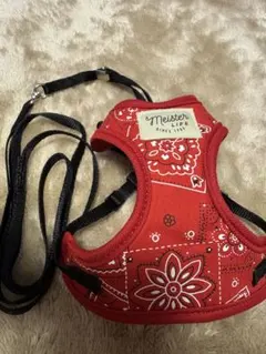 Item thumbnail for item de23442d-0358-44e2-a3d5-759507283d30