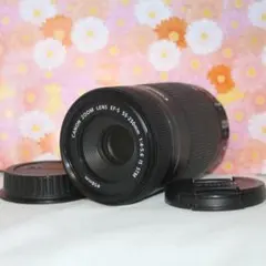 Canon 55-250mm IS STM 極美品 純正フード・プロテクター付 - メルカリ