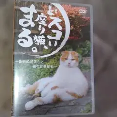 希少DVD どすこい座り猫まる。養老孟司先生と猫の営業部長 - メルカリ