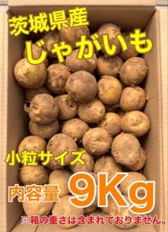 茨城県産　じゃがいも　9Kg　小粒サイズのサムネイル
