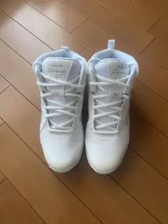 MIZUNO Wave Diverse LG5 24.0cm ホワイトのサムネイル