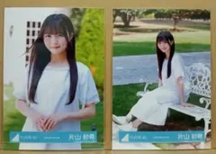 Item thumbnail for item e04ee888-e587-472b-9734-3b73d1808287