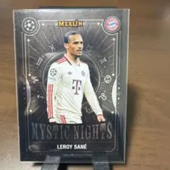 Item thumbnail for item 39f5ad25-c50b-4f82-b2f6-9556dce272ed