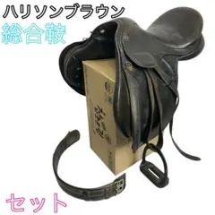 Item thumbnail for item b653ff2c-fa47-460f-b5f0-7b0cdfc3ef59