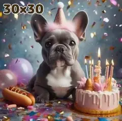 30×30 ダイヤモンドアート キット ラウンド 犬 フレブル 誕生日