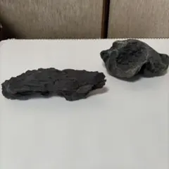 国産化石 徳島 標本260713－46 | Mercari
