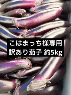 こはまっち様専用 訳あり茄子 約5kg 2000円のサムネイル
