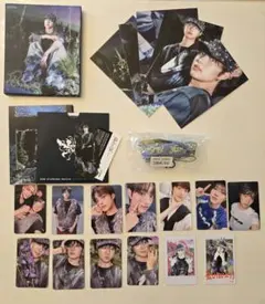 &TEAM　Back to Life CD　EJ ウィジュ　まとめ売り