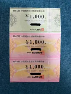 ビックカメラ　コジマ　株主優待　3000円分