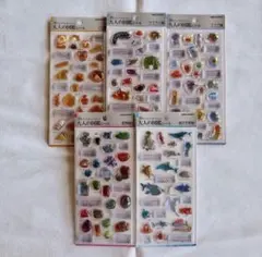 3D 大人の図鑑シール