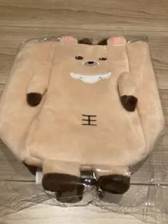 RIIZE 東京ドーム　グッズ　ペンライトバッグ　ソンチャン