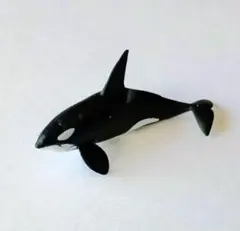 チョコQ 日本の動物 第6弾 ザトウクジラ【海洋堂】ブック有 - メルカリ