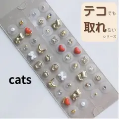 Item thumbnail for item 0c755831-04a7-4d38-bad2-2ddf5c0078ca