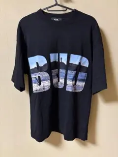 AZUL by MOUSSY 風景プリントTシャツ