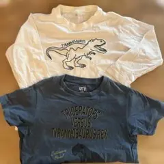 恐竜デザイン Tシャツ 2枚セット