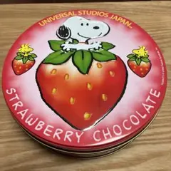 【レア　空き缶】USJ ユニバーサルスタジオ　スヌーピークッキー缶