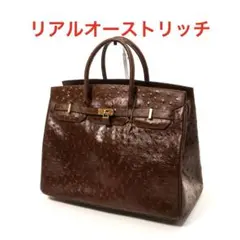 H2758-36◾️リアルオーストリッチ　JAN SATCH ハンドバッグ