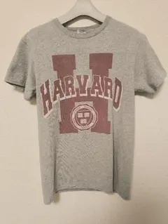 00s DELTA ハーバード カレッジ Tシャツ Sサイズ メキシコ製
