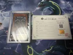 MTG 稀少個体 最後の古代種 エアリス 日本語 拡張アート FOIL - メルカリ