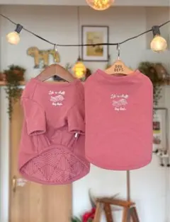 Item thumbnail for item 62d57034-bc55-4104-9e0e-06aa55d1fd1c