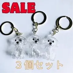 最安値 3点セット トイプードル 毛玉入れ キーホルダー けだまだま 犬の毛玉入