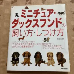 Item thumbnail for item be377b59-b2c3-4d84-84b2-46d73e9f33bd