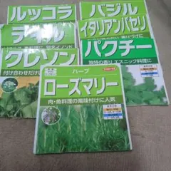 ハーブの種　家庭菜園　 クレソン　　パクチー