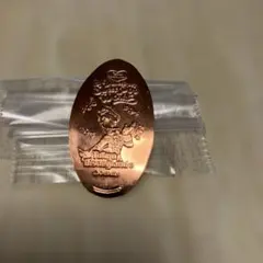 ディズニーデイジー　スーベニアメダル