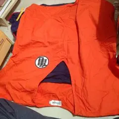 Item thumbnail for item 2f536bf4-20fa-4131-bb05-0f01d48f21e3