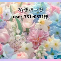 user_731e0831様専用