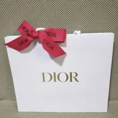 Dior ディオール　バレンタイン 限定　ショッパー リボン付　ピンクリボン