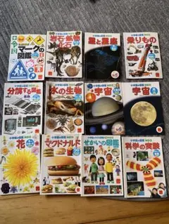 小学館の子ども図鑑 NEO せかいの図鑑 12冊セット