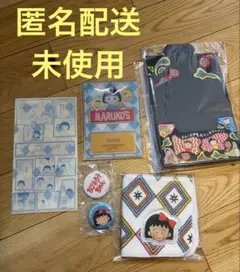 篠田麻里子 AKB48卒業記念グッズ まとめ売り 8点 - メルカリ