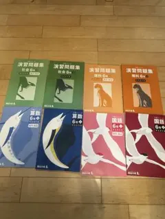 ほぼ未記入⭐︎四谷大塚 予習シリーズ 6年生下巻のみ 4教科セット