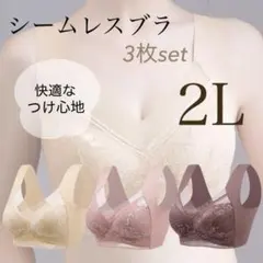 シームレスブラ ノンワイヤー ナイトブラ 2L 3枚セット 美胸 小さく見せる