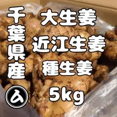 赤生姜 しょうが 種 5kg 高知県産 - メルカリ