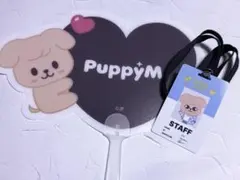 straykids dominATE celebrate popup 入場特典