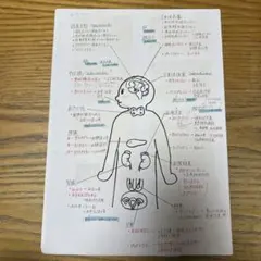 看護師国家試験　手書き 付箋 ノート