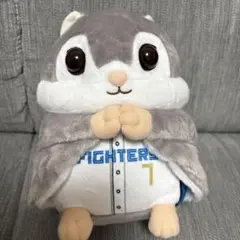 新品 エスコン くじ モモンガ 3等 松本剛
