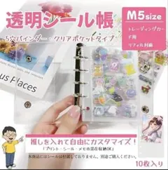 シール帳 平成レトロ キラキラ 透明 リフィル 10枚セット 推し活 M5