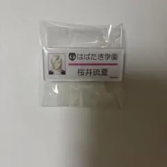 ときメモGS3 桜井琉夏 ネームプレート 証明写真館 - メルカリ