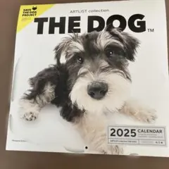 Item thumbnail for item 19388a1e-7c66-408c-8fc5-f6deebbeb605