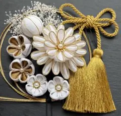 Item thumbnail for item 08906fd5-f107-4478-8c51-433f55090891